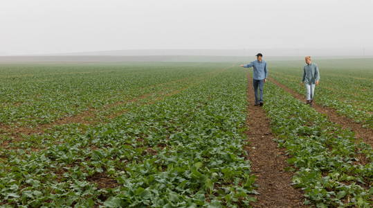 Mikrohraniva – važan deo prolećne ishrane biljaka