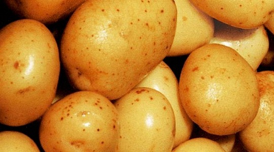 Potrebe na tržištu krompira