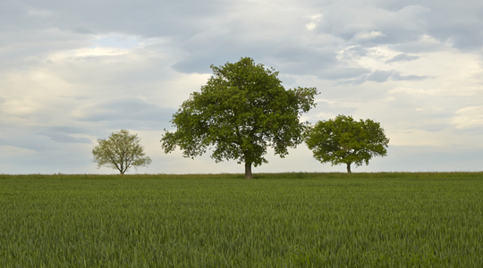 Životna sredina i recikliranje